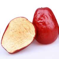 Organic dried chinese red  jujube fruit jujube