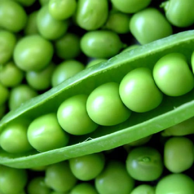 Frozen Green Peas /Best Price and Quality available in stock